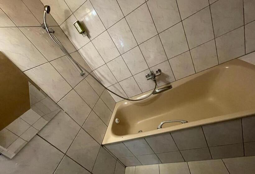 اتاق خانوادگی, Interlaken Linda Inn Lodge