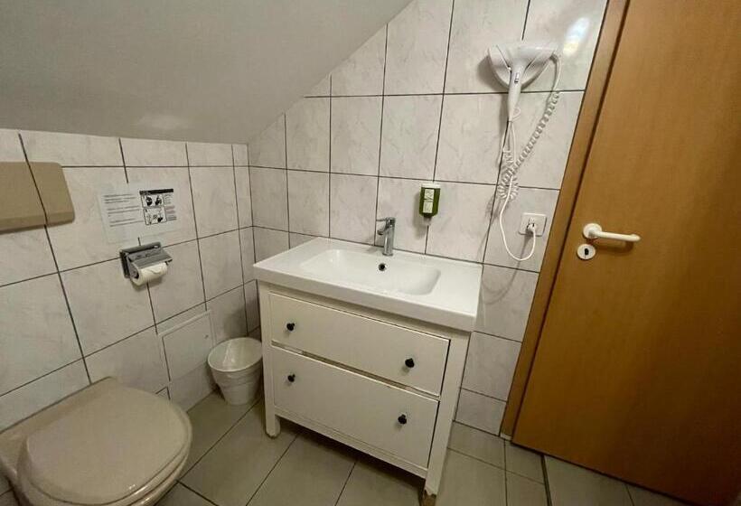 اتاق خانوادگی, Interlaken Linda Inn Lodge