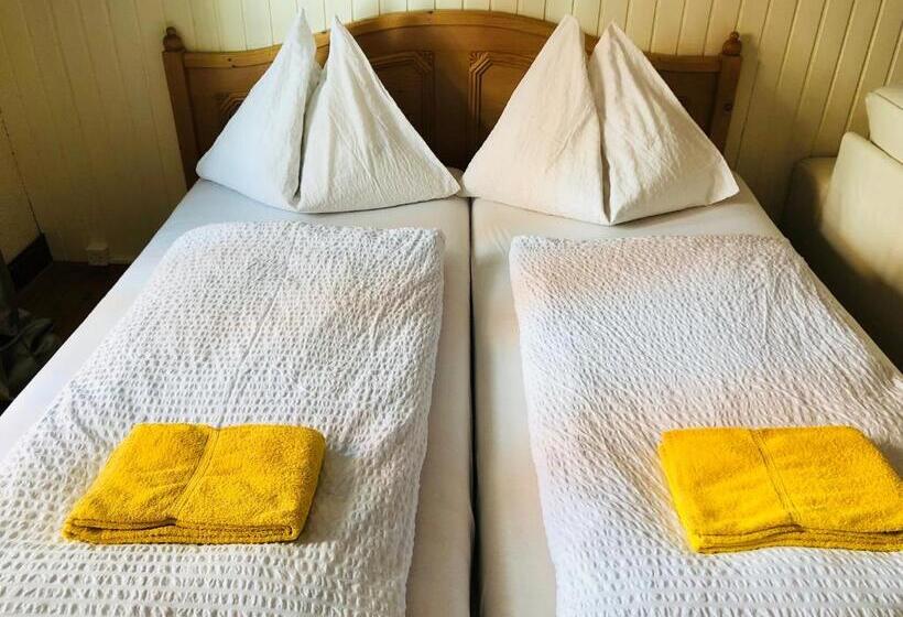 اتاق خانوادگی, Interlaken Linda Inn Lodge