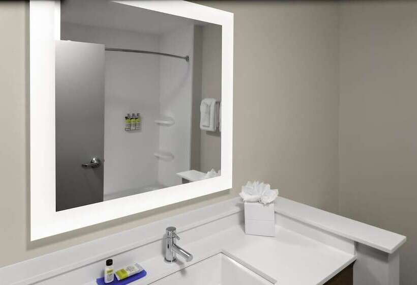 适合残疾人士使用的套间, Holiday Inn Express & Suites   Wilmington West   Medical Park, An Ihg