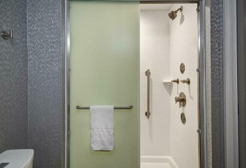 Студия Deluxe, Home2 Suites By Hilton Georgetown