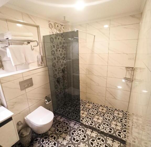 이코노미 룸, Livaneli Boutique Otel