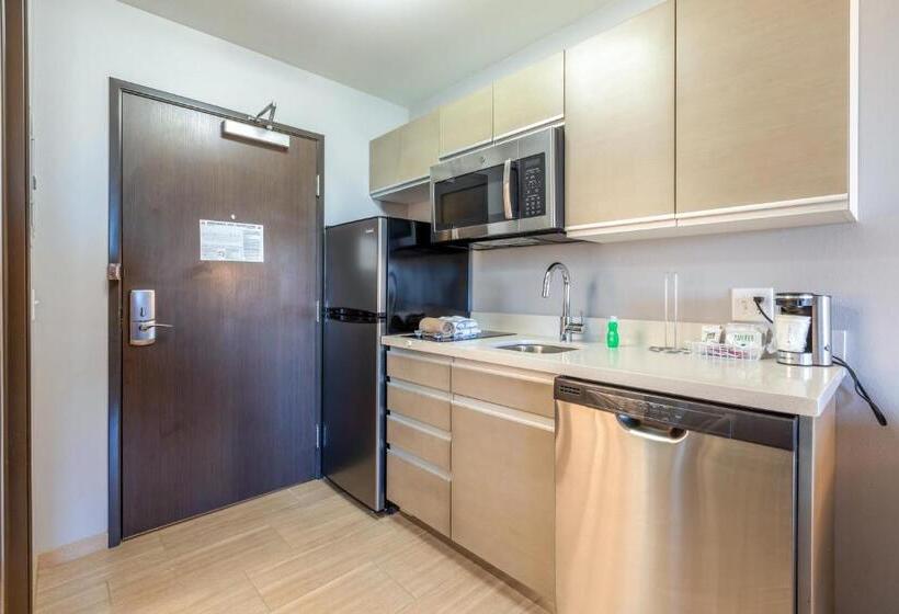 스탠다드 스튜디오, Hawthorn Extended Stay By Wyndham Loveland