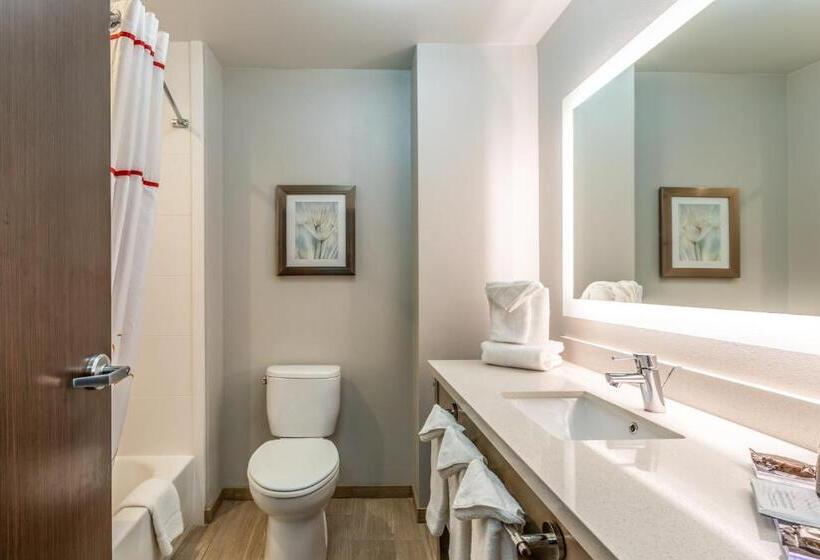 标准工作室, Hawthorn Extended Stay By Wyndham Loveland