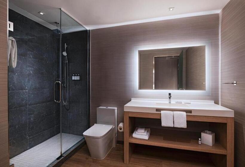 اتاق استاندارد با تخت بزرگ, Ac Hotel By Marriott Houston Downtown