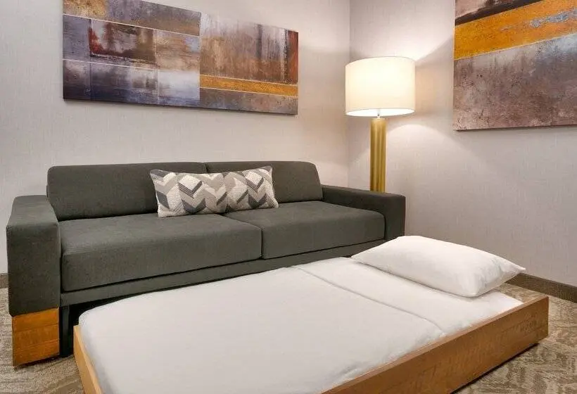 سوییت, Springhill Suites By Marriott Colorado Springs North/air Force Academy