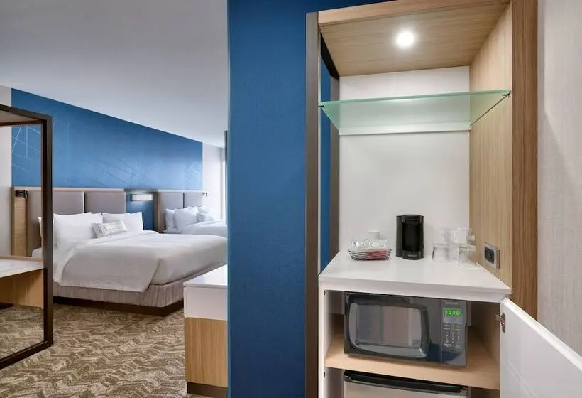 سوئیت برای معلولان, Springhill Suites By Marriott Colorado Springs North/air Force Academy