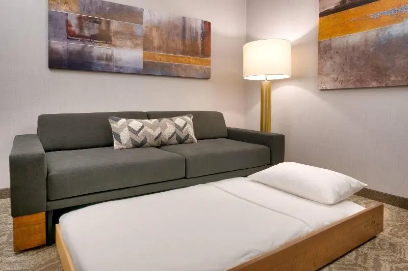 سوئیت با تخت بزرگ, Springhill Suites By Marriott Colorado Springs North/air Force Academy