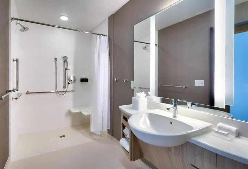 سوئیت با تخت بزرگ, Springhill Suites By Marriott Colorado Springs North/air Force Academy