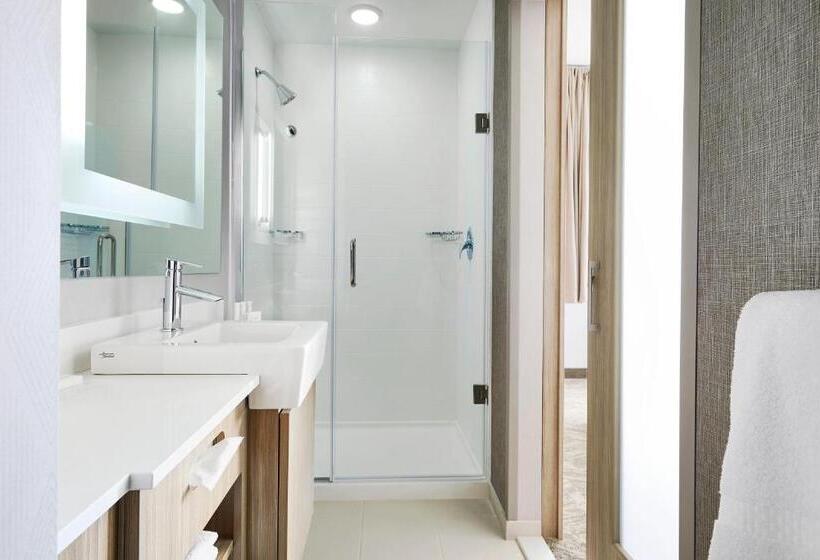 Sviitti Kaupungin Näkemystä, Springhill Suites By Marriott Springfield North