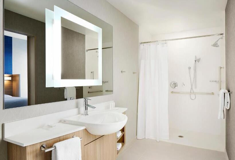 Sviitti Kaupungin Näkemystä, Springhill Suites By Marriott Springfield North