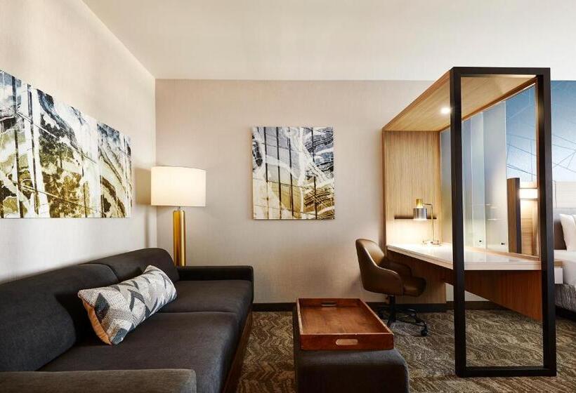 Sviitti Kaupungin Näkemystä, Springhill Suites By Marriott Springfield North