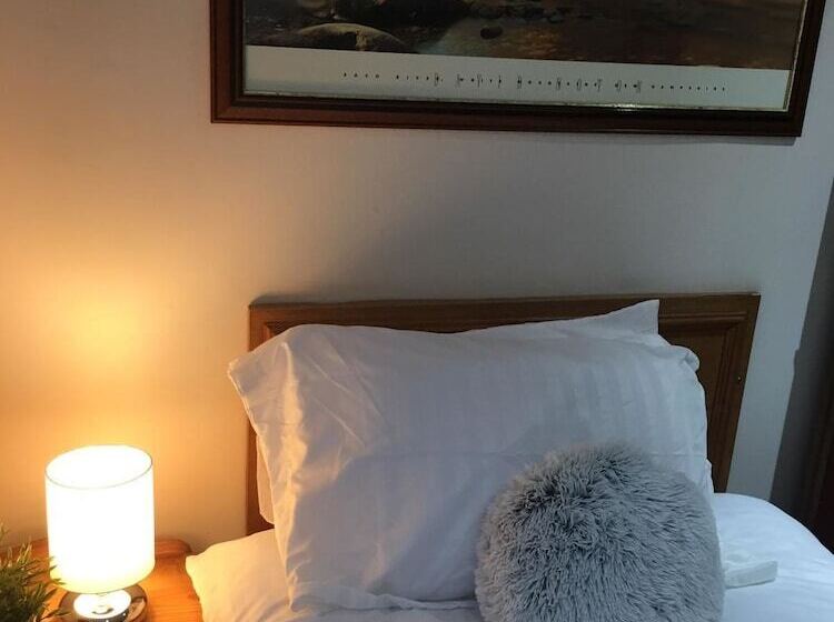 スタンダードシングルルーム, Terra Nova