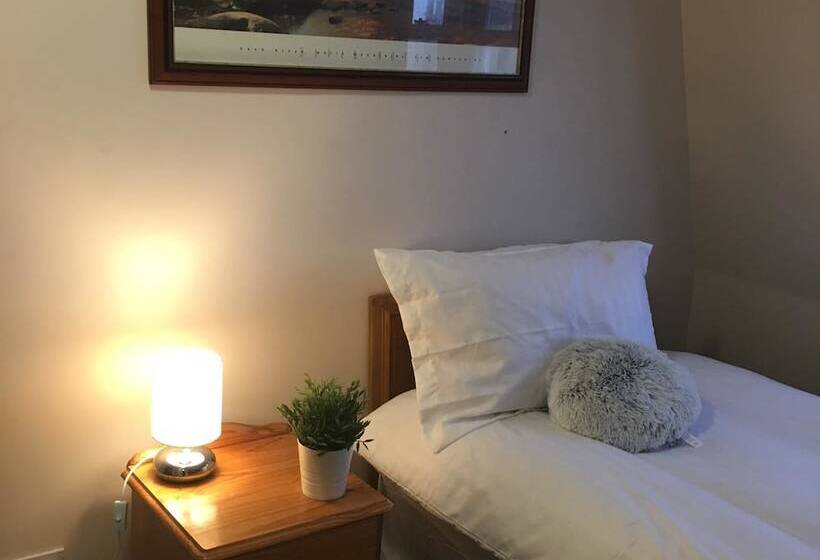 スタンダードシングルルーム, Terra Nova