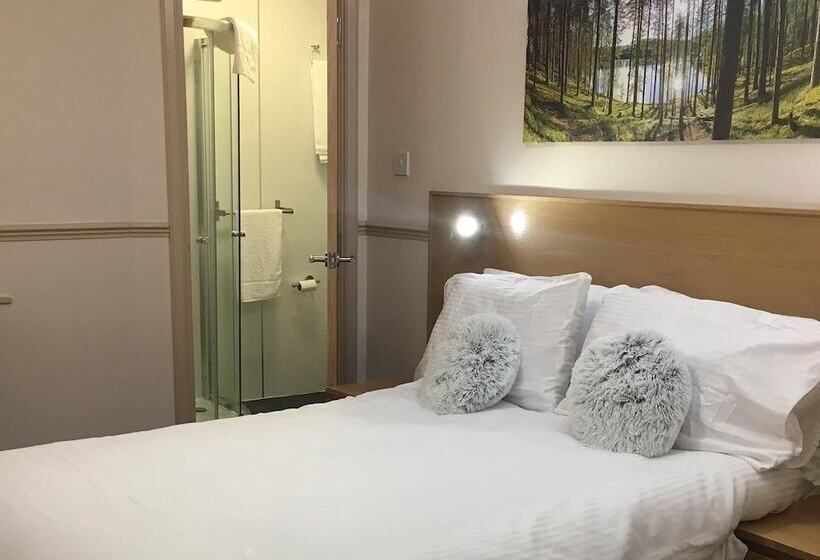 スタンダードルーム, Terra Nova