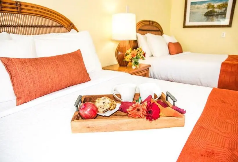 スタンダードスタジオ, Coconut Bay Resort   Key Largo