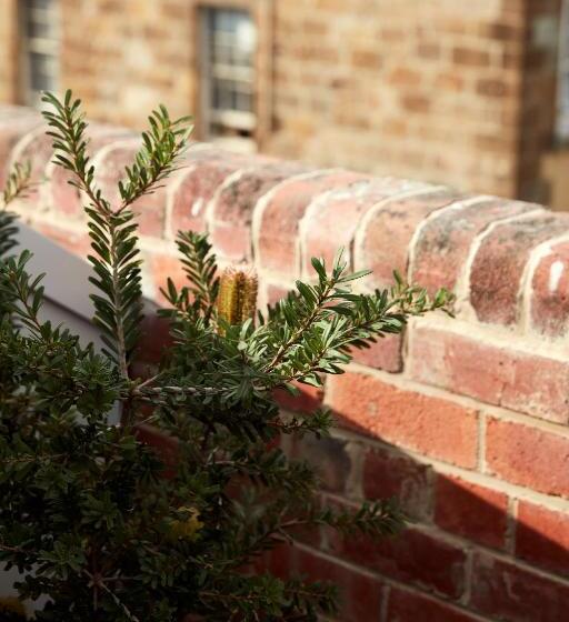 غرفة سوبيريور سرير كينج, Moss