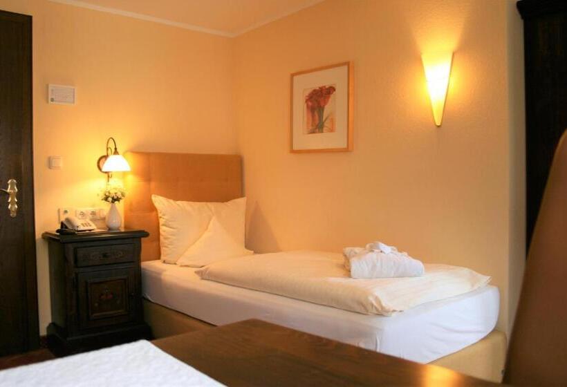 Номер Economy Индивидуальный, Allgäuer Hof