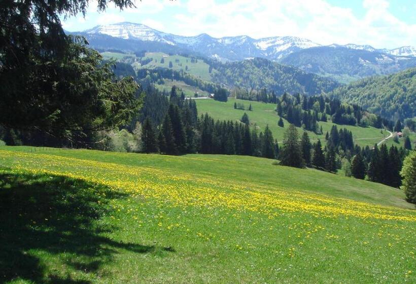 Номер Стандарт Индивидуальный, Allgäuer Hof