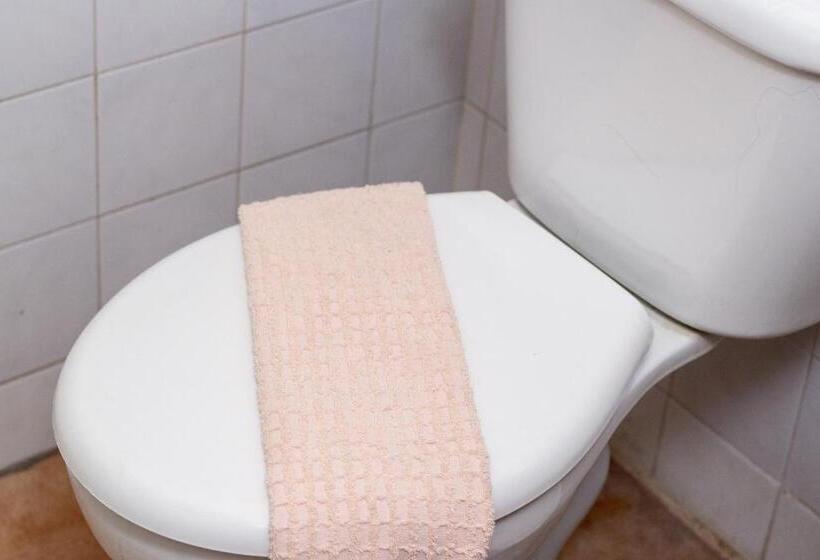 غرفة قياسية, Alfa De Bauru Ltda