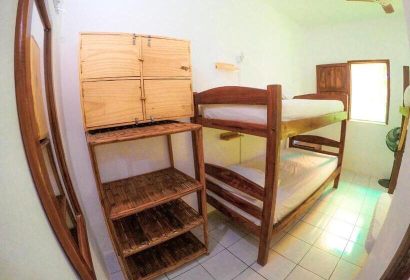 تختخواب در اتاق مشترک, Buddy S Hostel Itacaré
