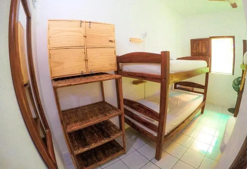 ルームシェアのワンベッド, Buddy S Hostel Itacaré