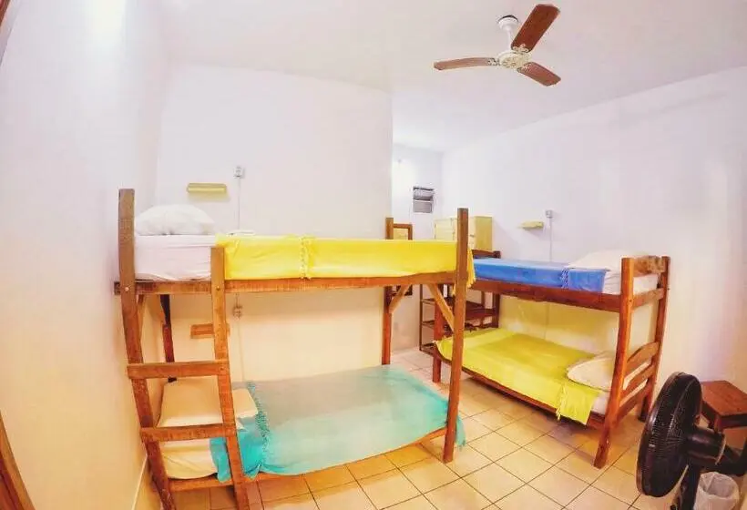 ルームシェアのワンベッド, Buddy S Hostel Itacaré
