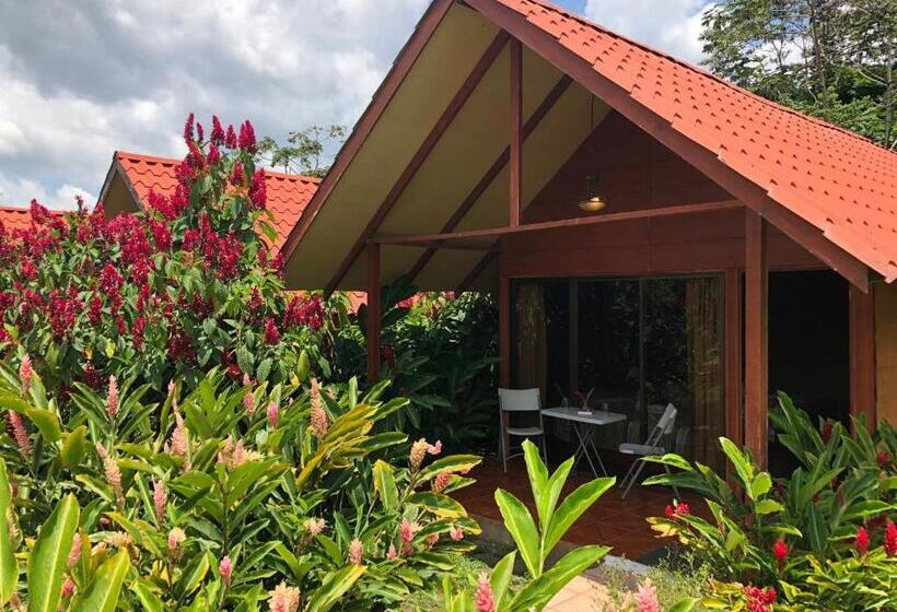 غرفة عائلية, Villas Vista Arenal