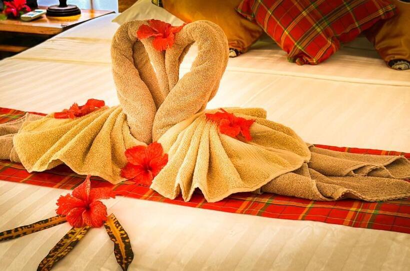 بانگلوی استاندارد, Cocotier Du Rocher