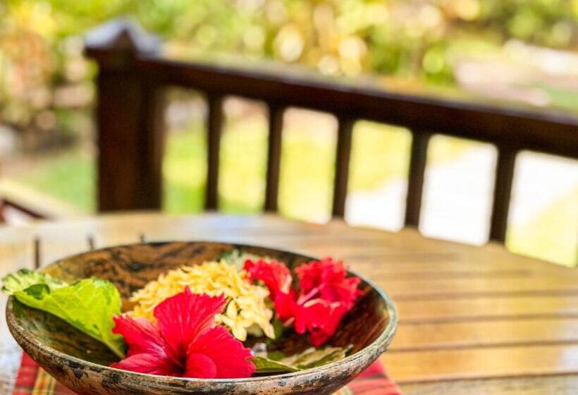 بانگلوی استاندارد, Cocotier Du Rocher