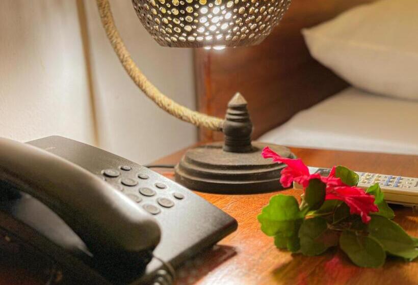 بانگلوی استاندارد, Cocotier Du Rocher