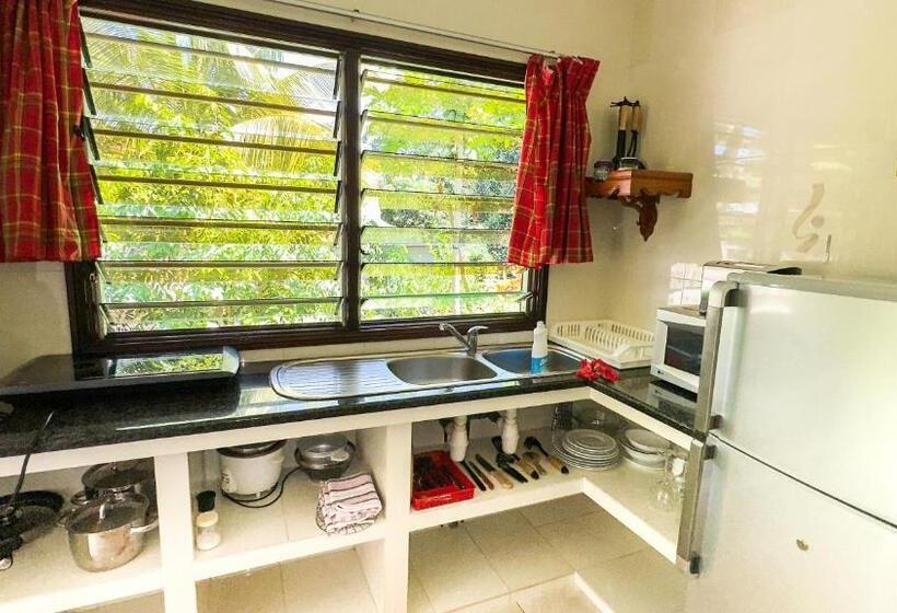 بانگلوی استاندارد, Cocotier Du Rocher