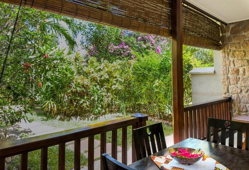 بانگلوی سوپریور, Cocotier Du Rocher