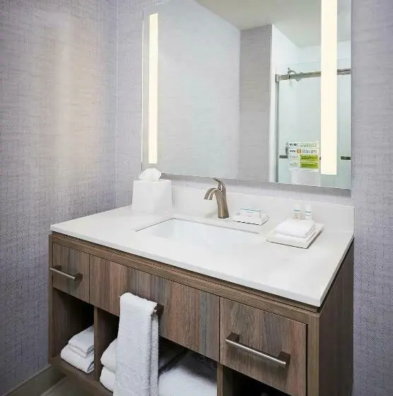استودیو استاندارد با تخت کینگ, Home2 Suites By Hilton Brantford