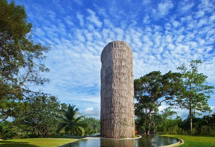 标准间, Tri By Amaya