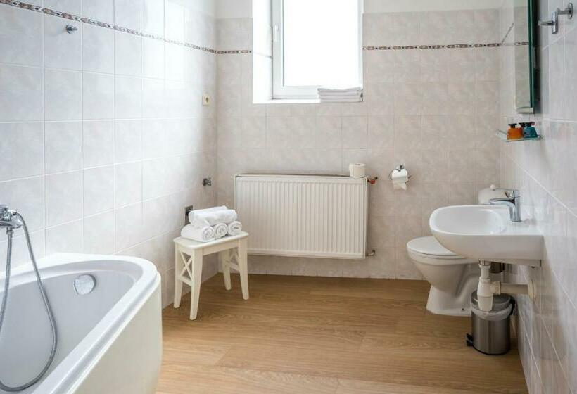 דירת שני חדרים, U Labutě