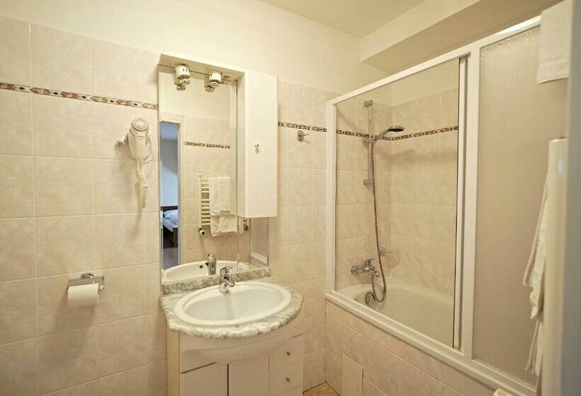 חדר דלוקס, U Labutě