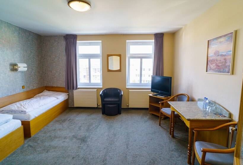 חדר סטנדרט, U Labutě