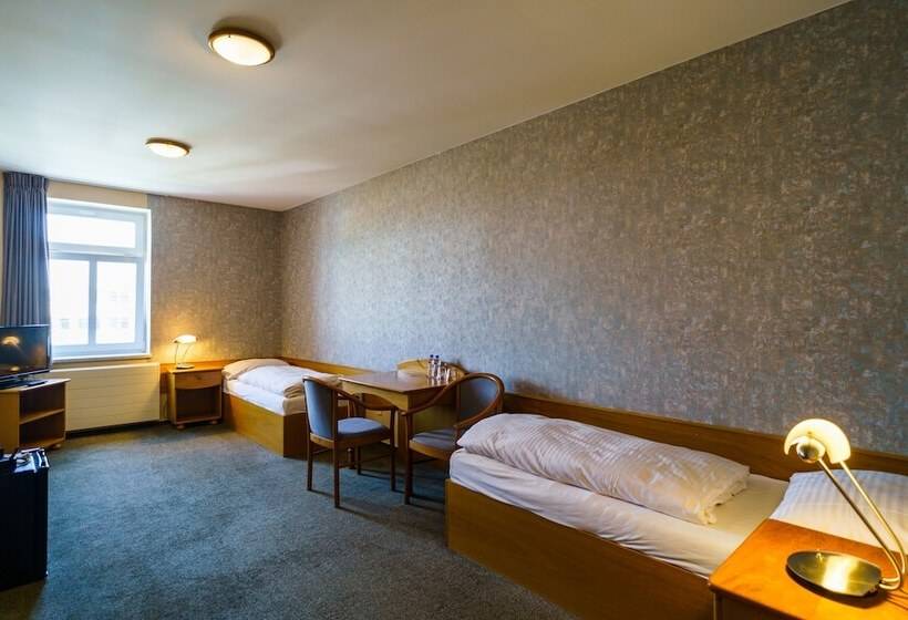 חדר סטנדרט, U Labutě