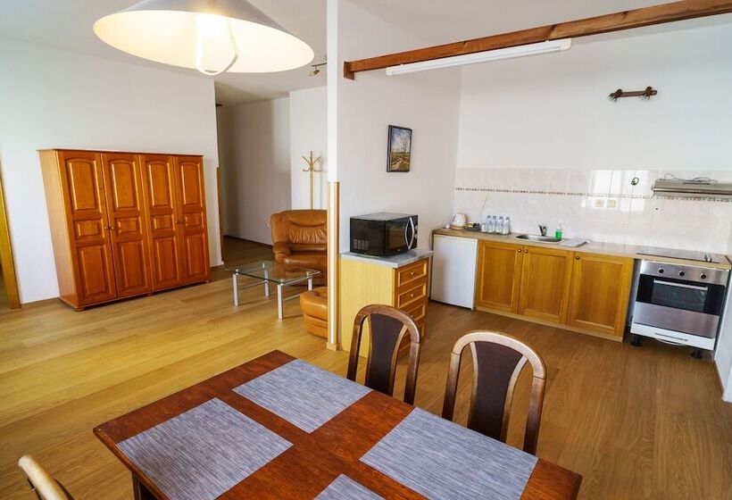 דירת שני חדרים, U Labutě