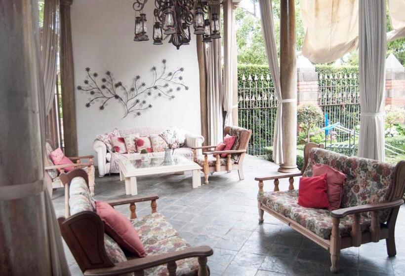 Economy Kamer, Brooklyn Guesthouses