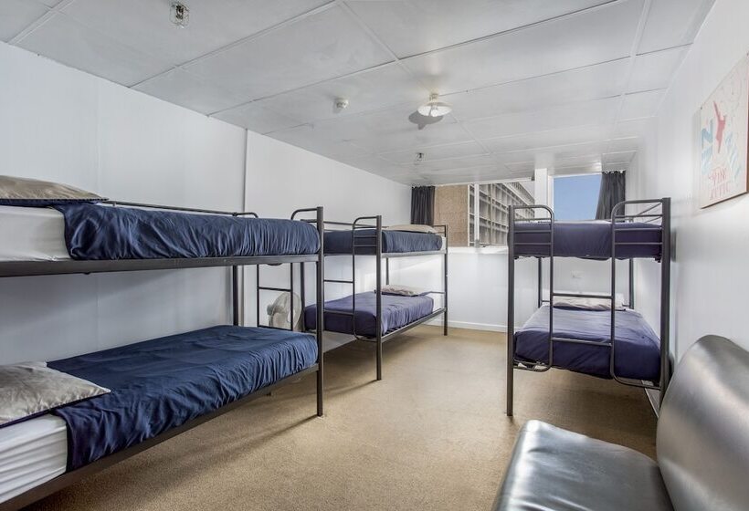 Номер Стандарт, Attic Backpackers