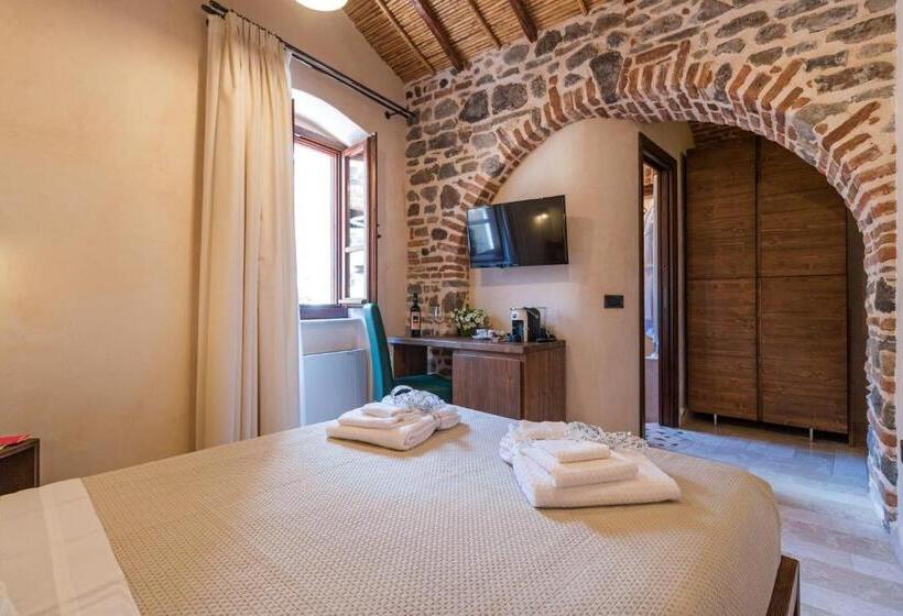 غرفة قياسية, Domo Pro Vois