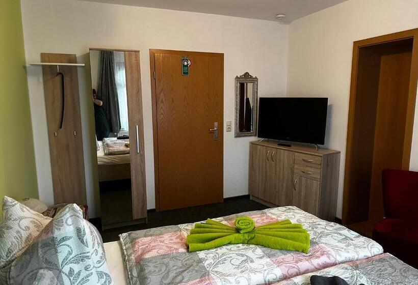 Номер Стандарт, Pension Anni