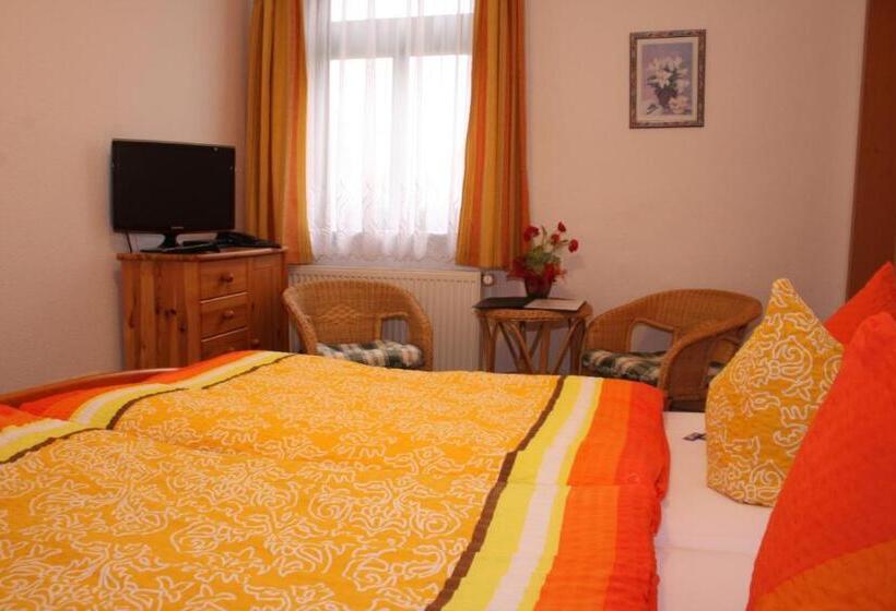 Номер Стандарт, Pension Anni