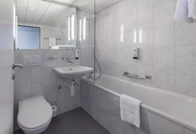 اتاق استاندارد با تخت بزرگ, Royal Hotel Zurich