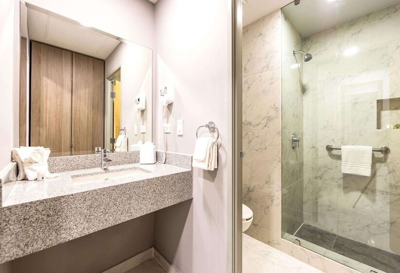 חדר סטנדרט שתי מיטות זוגיות, Comfort Inn Hermosillo Aeropuerto