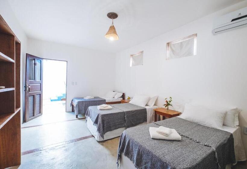 标准三人间, Casa Nomade