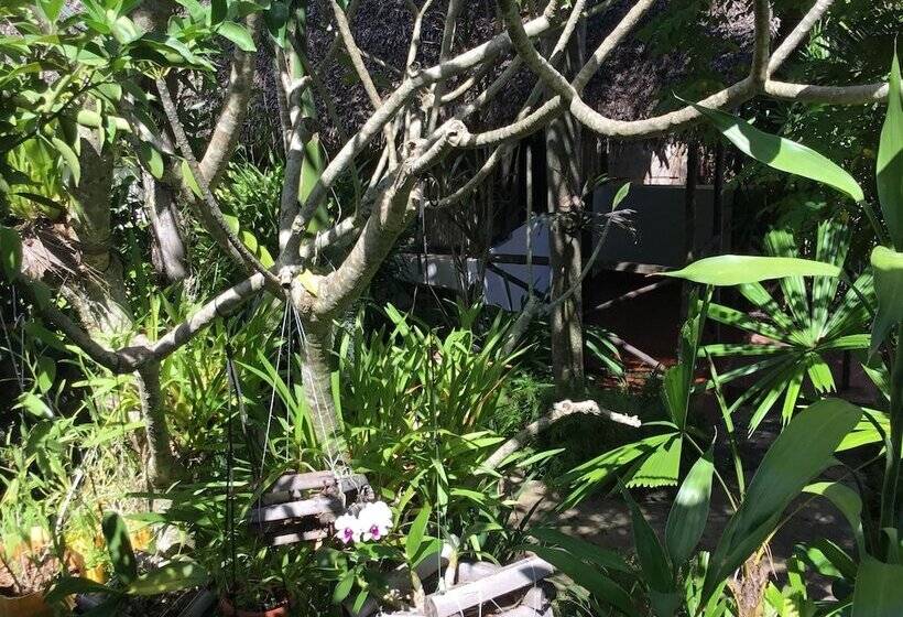 اتاق عادی, Coucher De Soleil