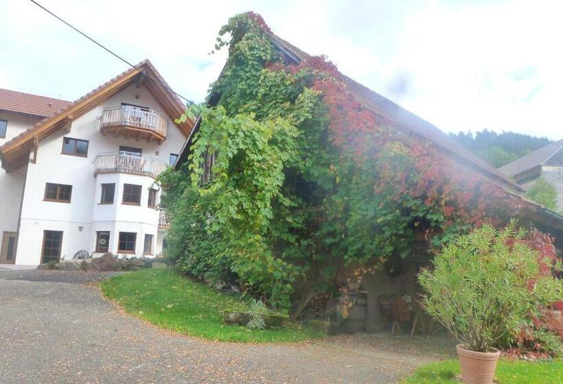 דירת שני חדרים, Rommelehof